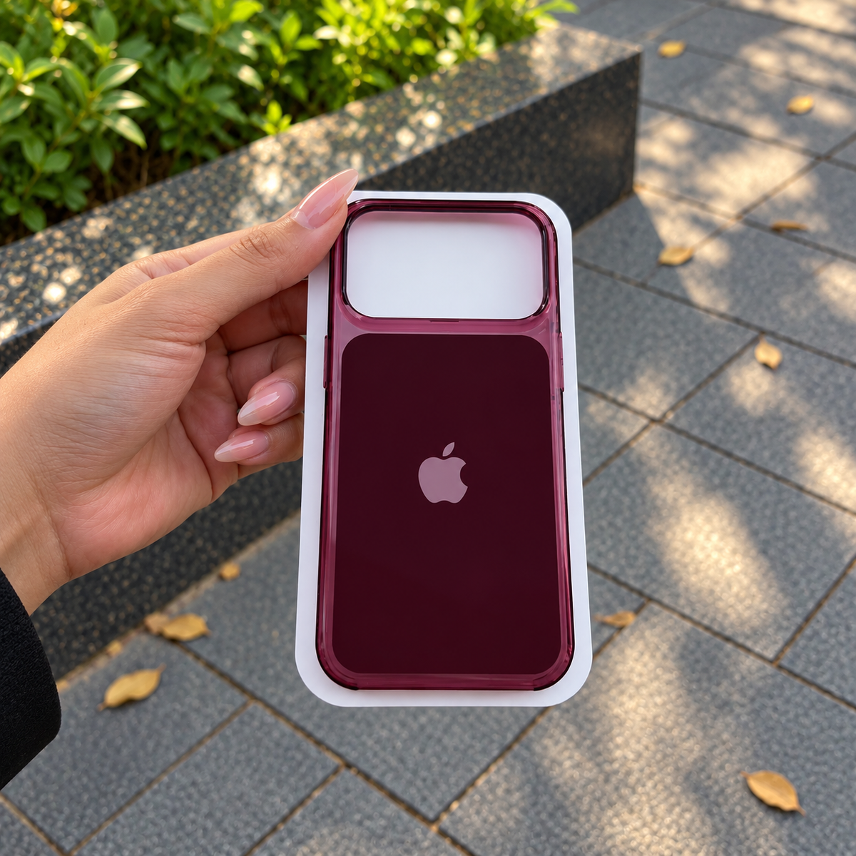 Regal Edition Case